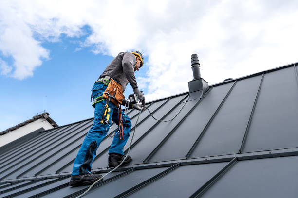 Best Asphalt Shingle Roofing  in Stevensville, MI